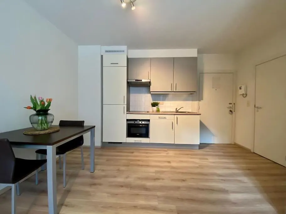Studio Hypercentre Bruxelles 比利时