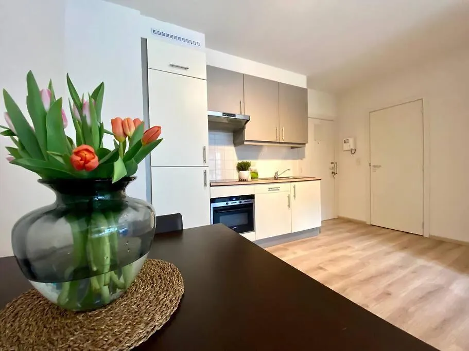 Studio Hypercentre Bruxelles 公寓 布鲁塞尔